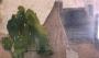 1562646-684483e637d42.jpg
