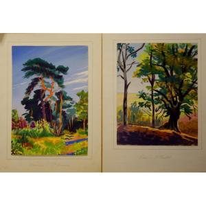 "ARBRES " a L'HAUTIL et St GERMAIN par G.GENOT ..1954/55