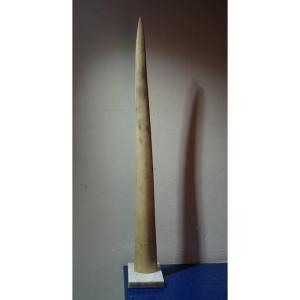 Grand " ROSTRE d'ESPADON "