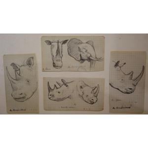 4 Drawings "rhinoceros,elephant" By Alfred Andrieux 1927