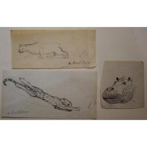 "FELINS et Tete d'HIPPOPOTAME" Dessins d'Alfred ANDRIEUX vers 1920