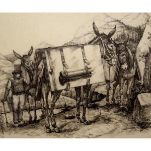 "TRANSPORT par ANES en MONTAGNE" Encre de Chine vers 1900/1920