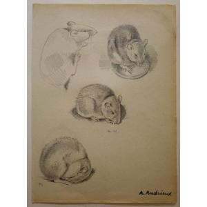 "Les SOURIS" Dessins d'Alfred ANDRIEUX vers 1920