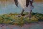 1769268-alb-6a1ad387a7a76.jpg