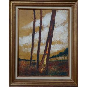 "PINS des LANDES" par L .FAUQUE..GEMMAGE ...vers 1970