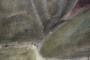 1817843-alb-6a9e9616932c3.jpg