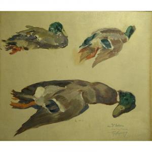 "studies Of Ducks" Oil On Cardboard By Roger Godchaux
