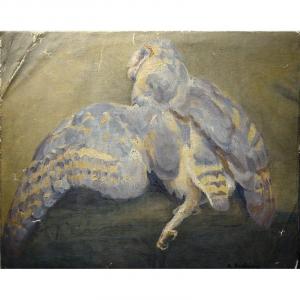 "dead Owl" By Alfred Andrieux Around 1920