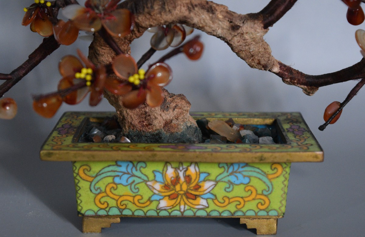 L'Arbre de Cornaline et Agate-photo-3