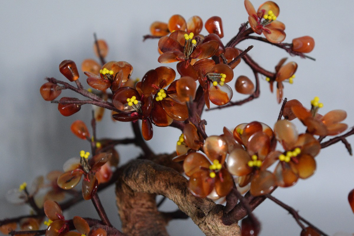 L'Arbre de Cornaline et Agate-photo-4