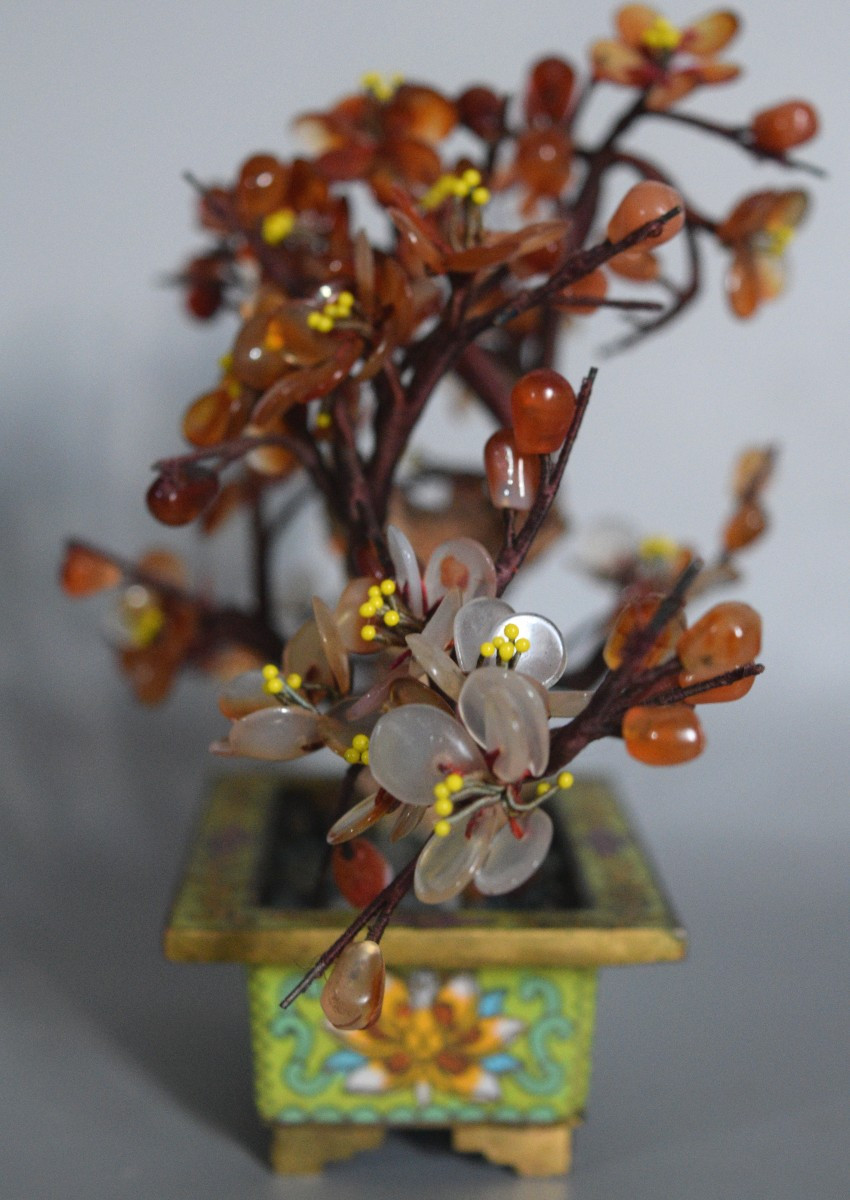 L'Arbre de Cornaline et Agate-photo-1