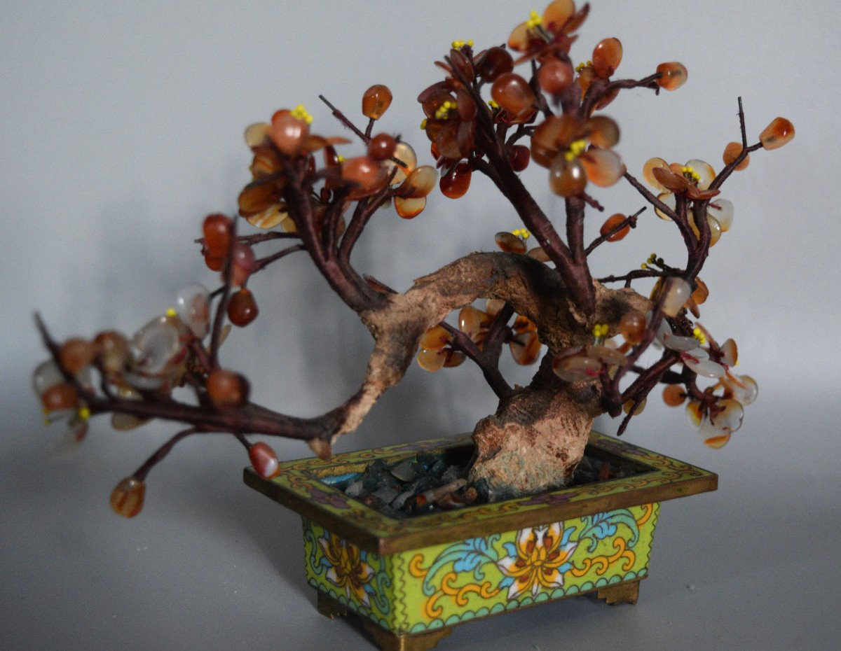 L'Arbre de Cornaline et Agate-photo-2