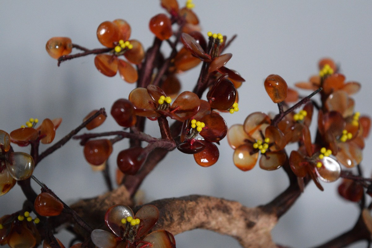 L'Arbre de Cornaline et Agate-photo-4