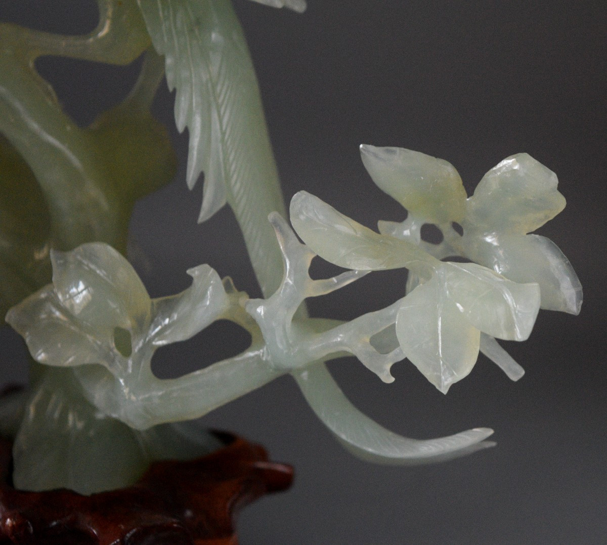 Élégance Céleste Deux Rois des Oiseaux Perchés sur une Branche Fleurie-photo-5