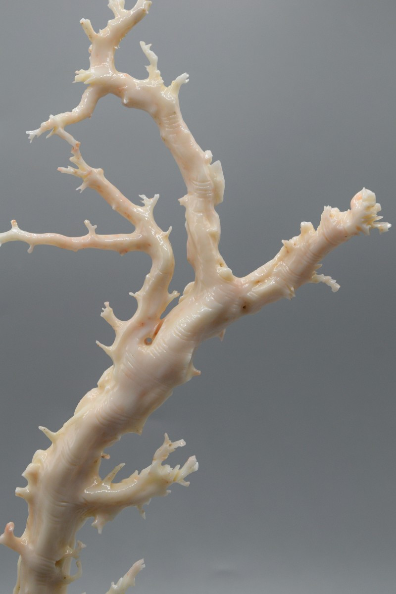 Groupe en corail blanc sculpté aux deux divinités féminines-photo-5