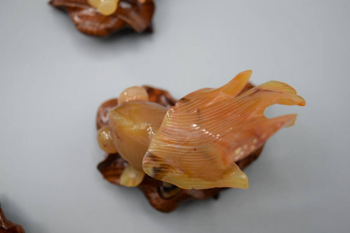 Cinq Poissons Rouges en Agate Sculptée - Chine, Milieu du XXe Siècle-photo-4