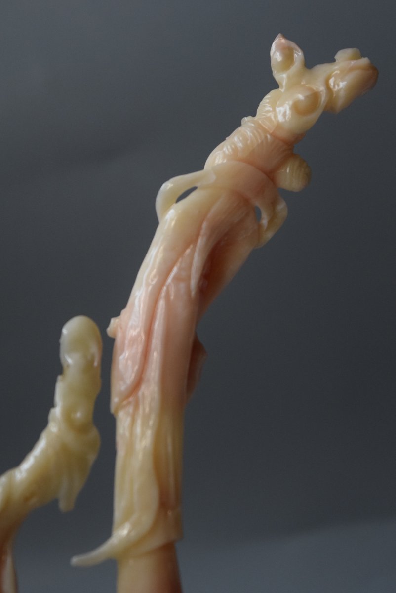 White And Pink Coral Sculpture – Circa 1920-photo-4