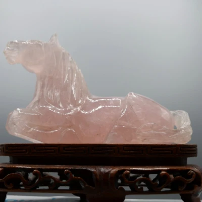 Premiere-Image-1736069