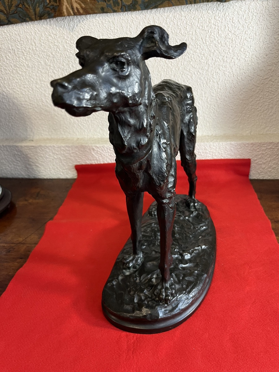 Large Bronze Greyhound By Debut -photo-3