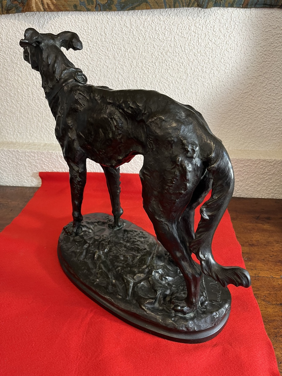 Large Bronze Greyhound By Debut -photo-1