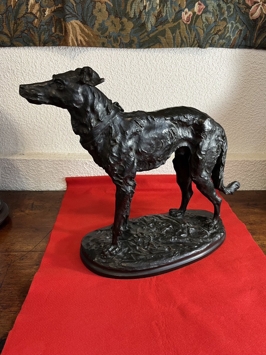 Large Bronze Greyhound By Debut 
