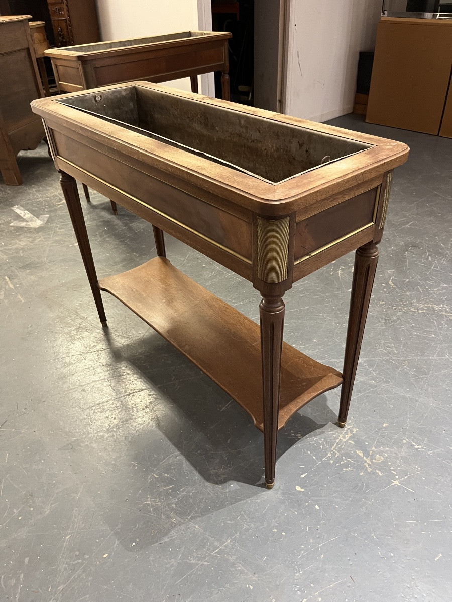 Paire de jardinières en acajou 19 éme Siècle -photo-3