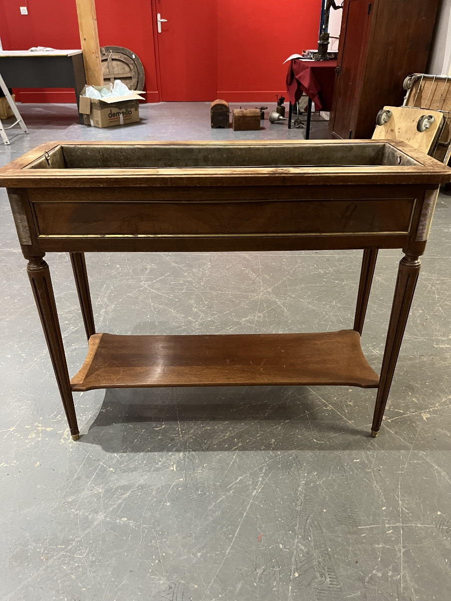 Paire de jardinières en acajou 19 éme Siècle 