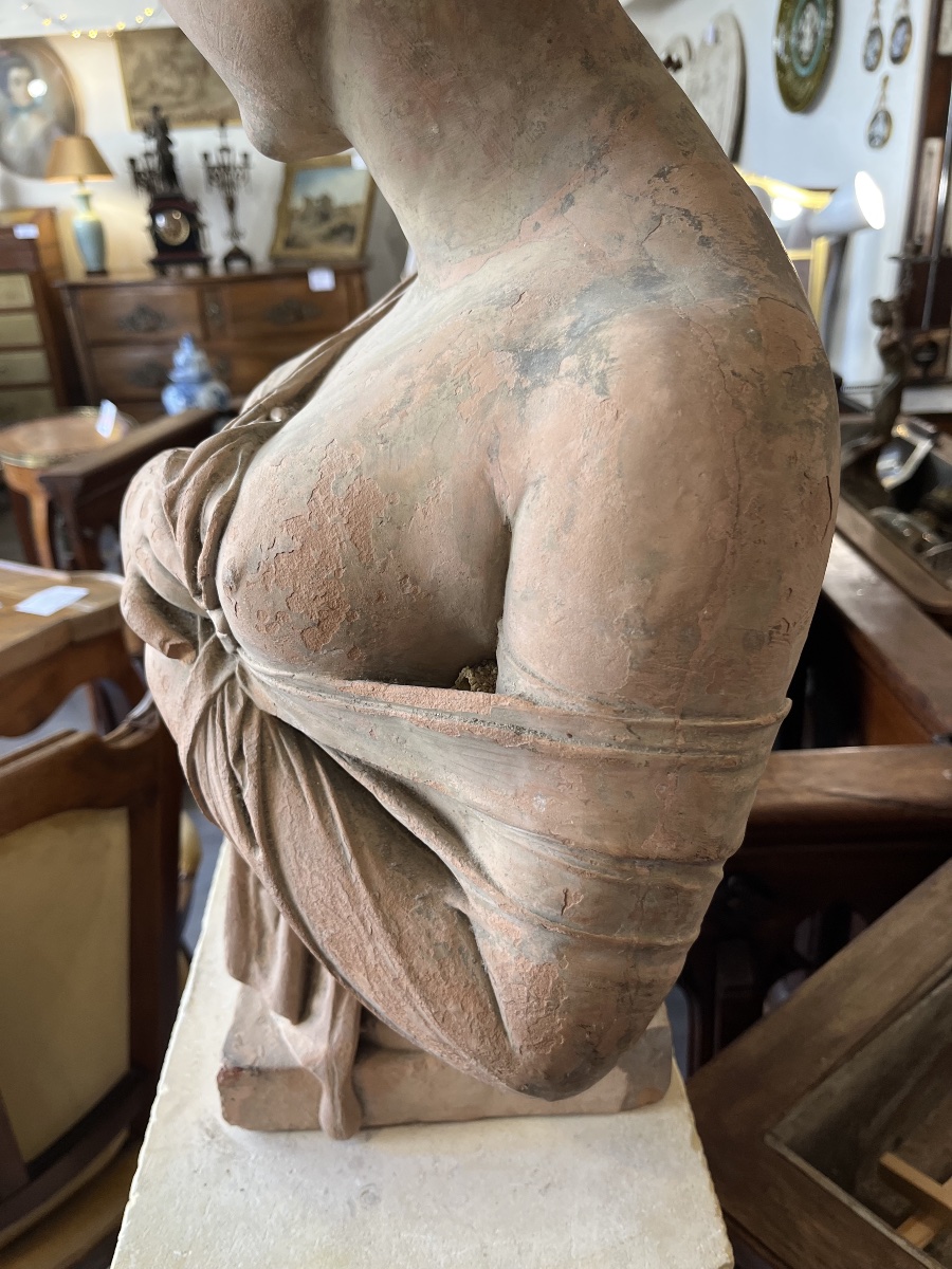 Beau buste en terre cuite de Juliette de Recamier 19 éme Siècle -photo-2