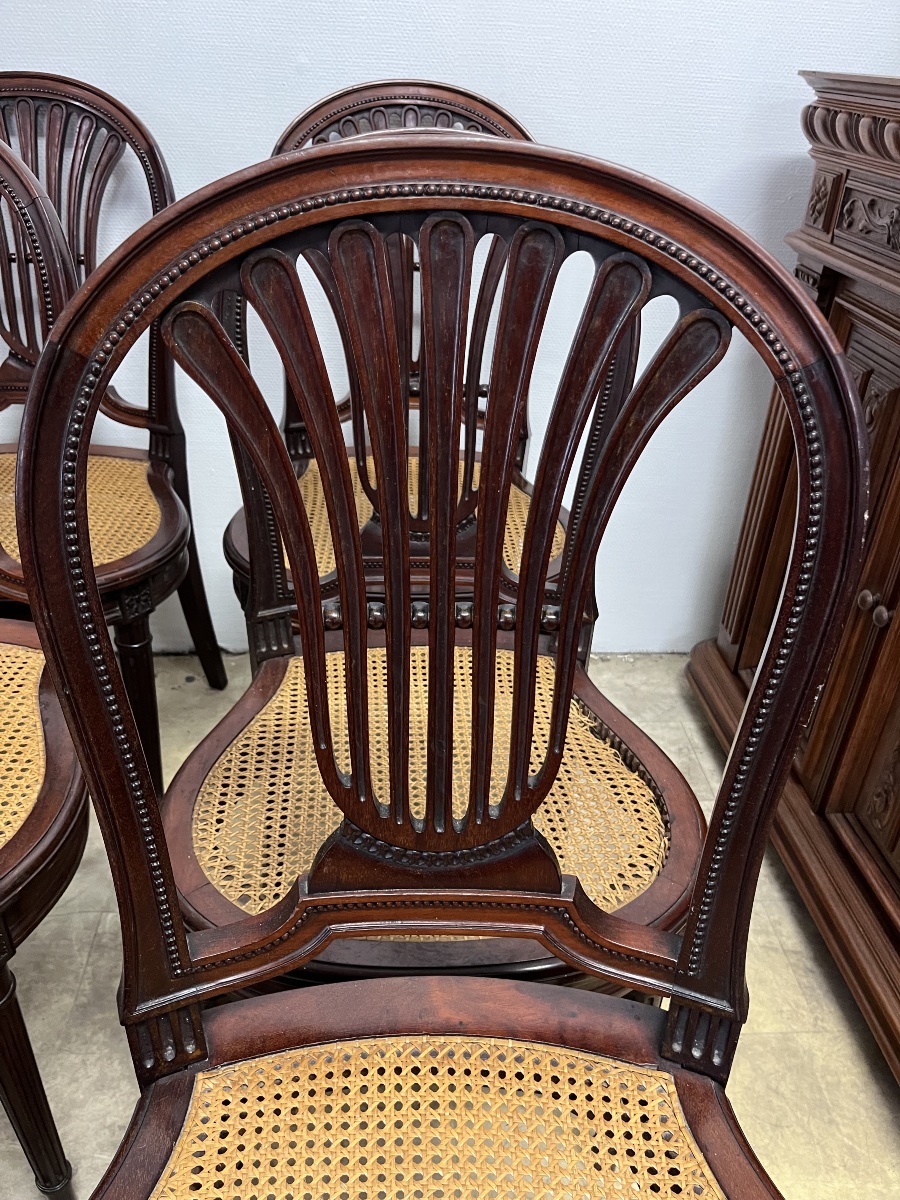 Suite de 6 chaises style Louis XVI en acajou -photo-3