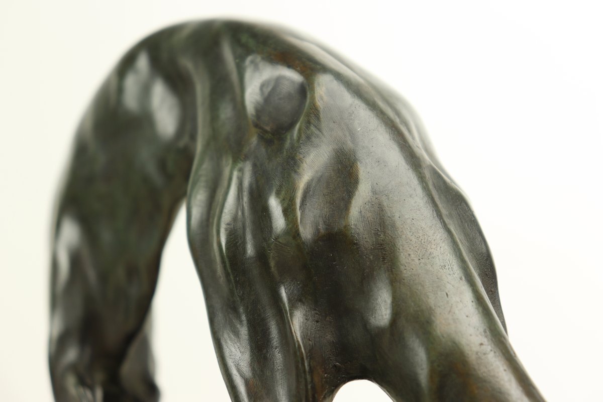 Greyhound By Georges Lavroff-photo-3