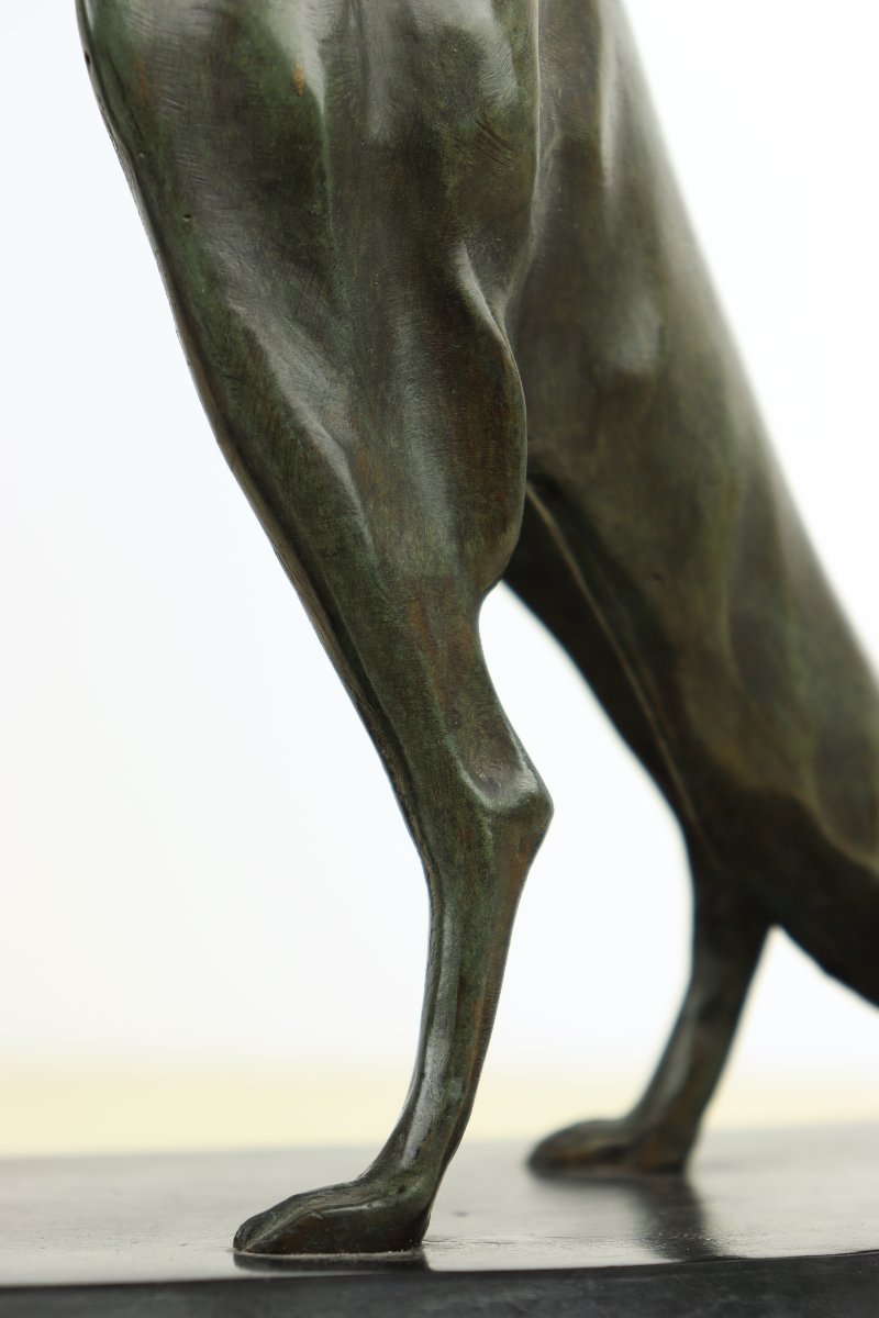 Greyhound By Georges Lavroff-photo-4