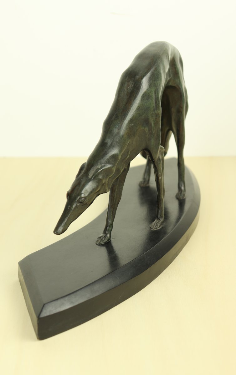 Greyhound By Georges Lavroff-photo-6