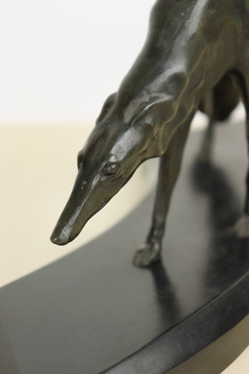 Greyhound By Georges Lavroff-photo-7