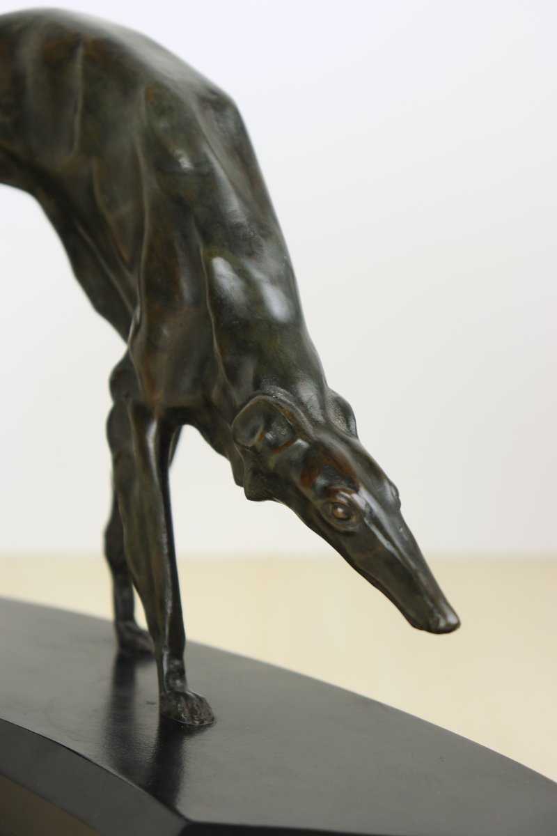 Greyhound By Georges Lavroff-photo-8