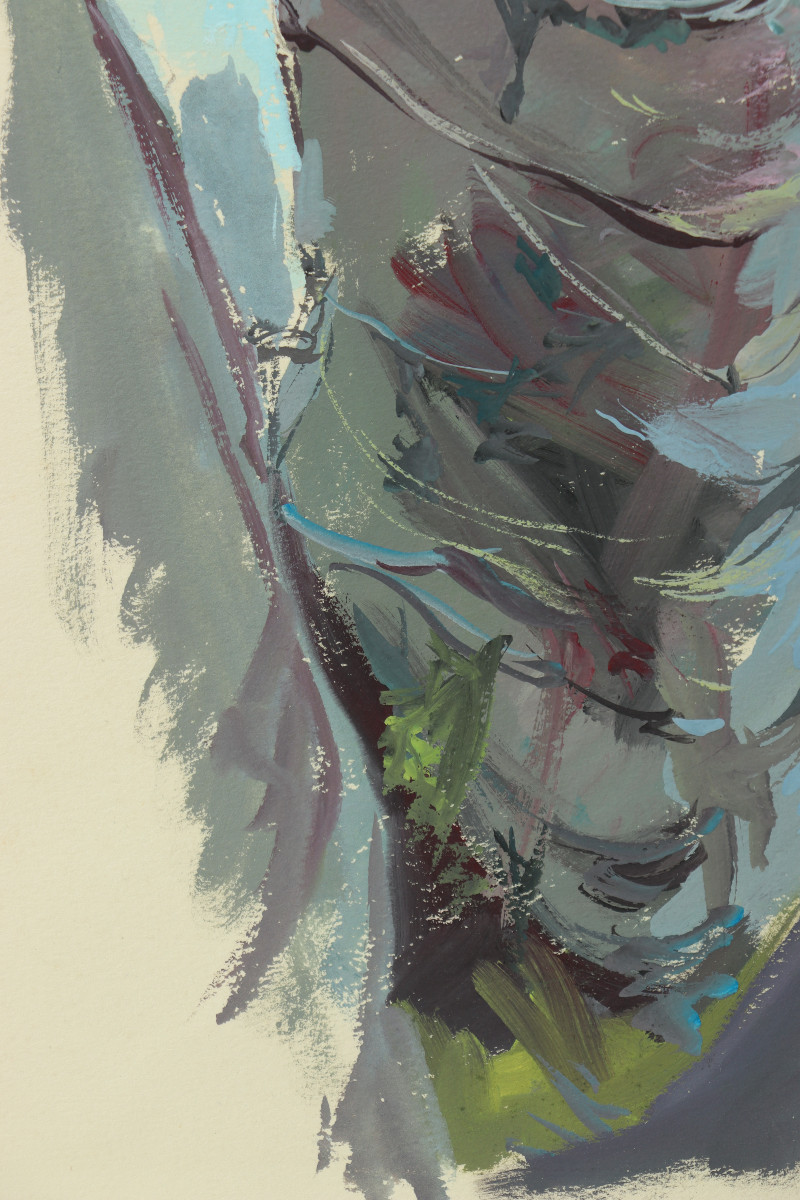 Meteors By Yves Brayer-photo-1