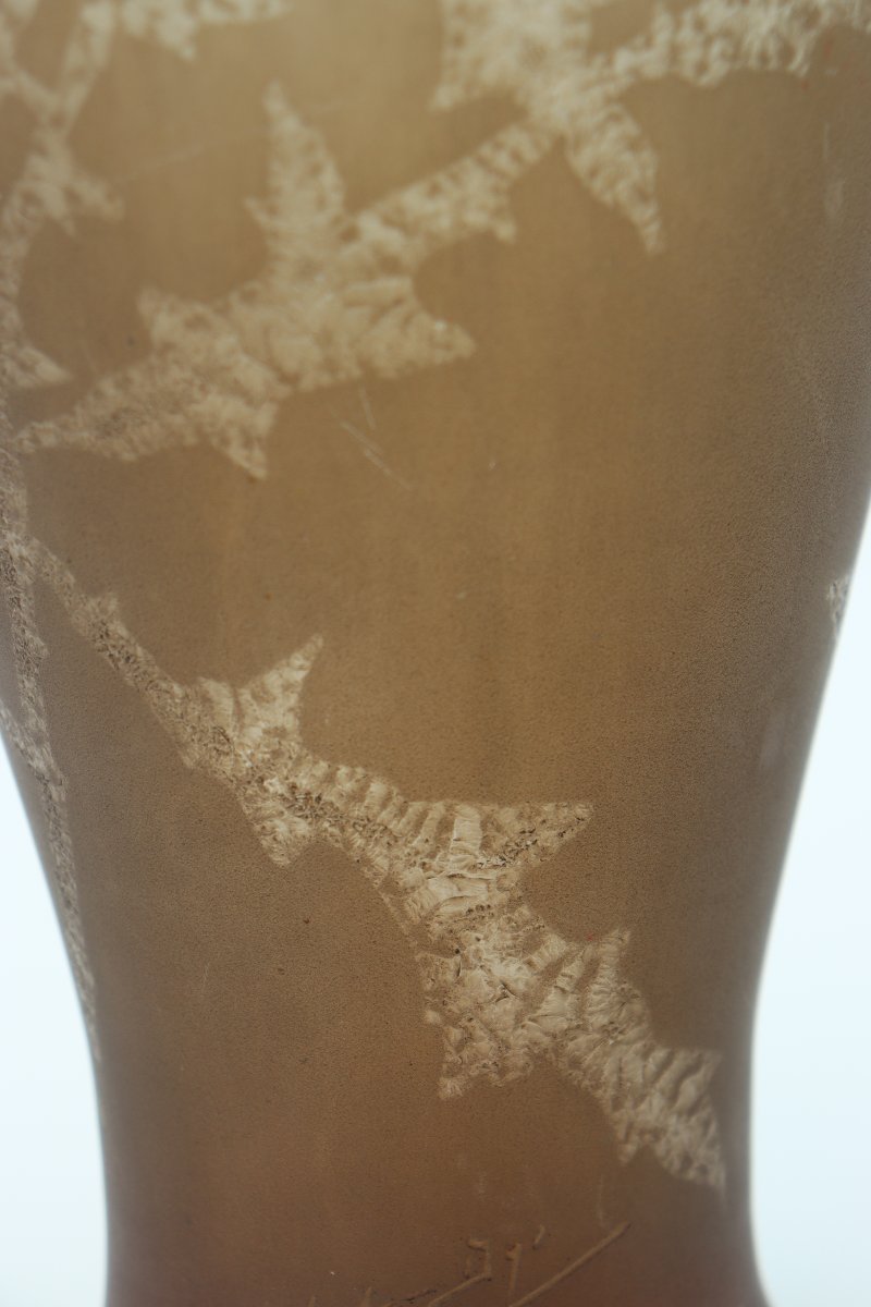 Vase aux chardons par Jules Habert-Dys-photo-5