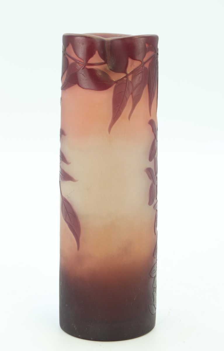 Gallé Vase Decorated With Wisteria-photo-1