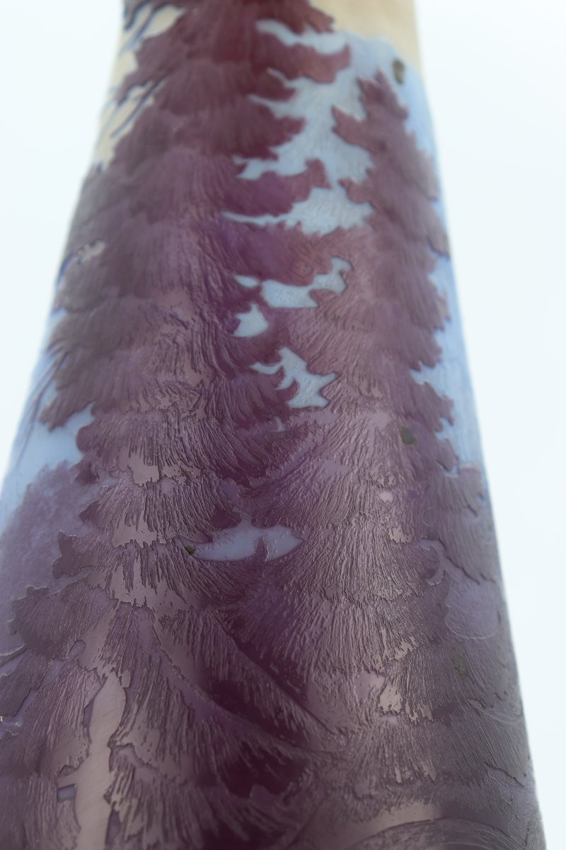 Gallé Vase With Vosges Landscape-photo-8