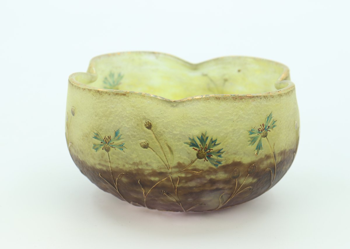 Cornflowers Daum Cup-photo-2