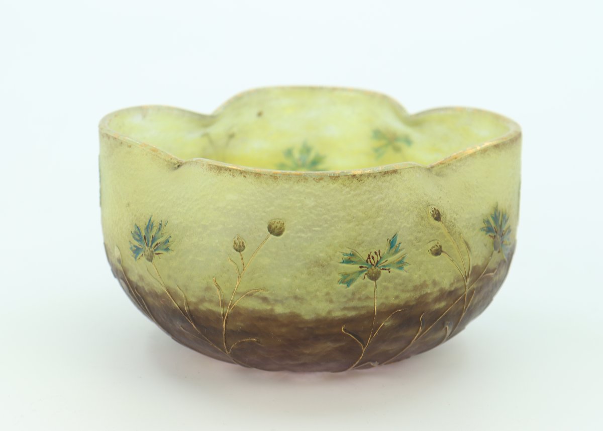 Cornflowers Daum Cup-photo-3