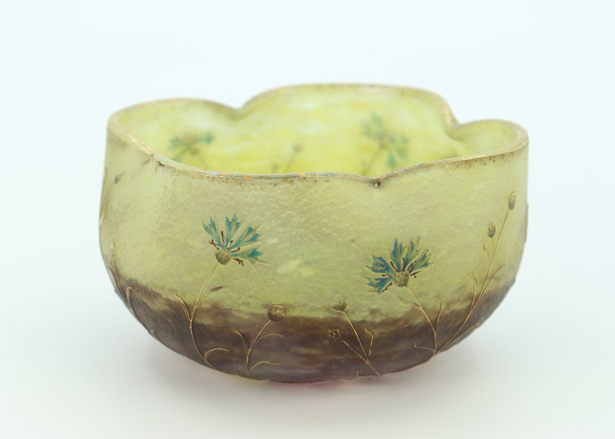 Cornflowers Daum Cup-photo-4