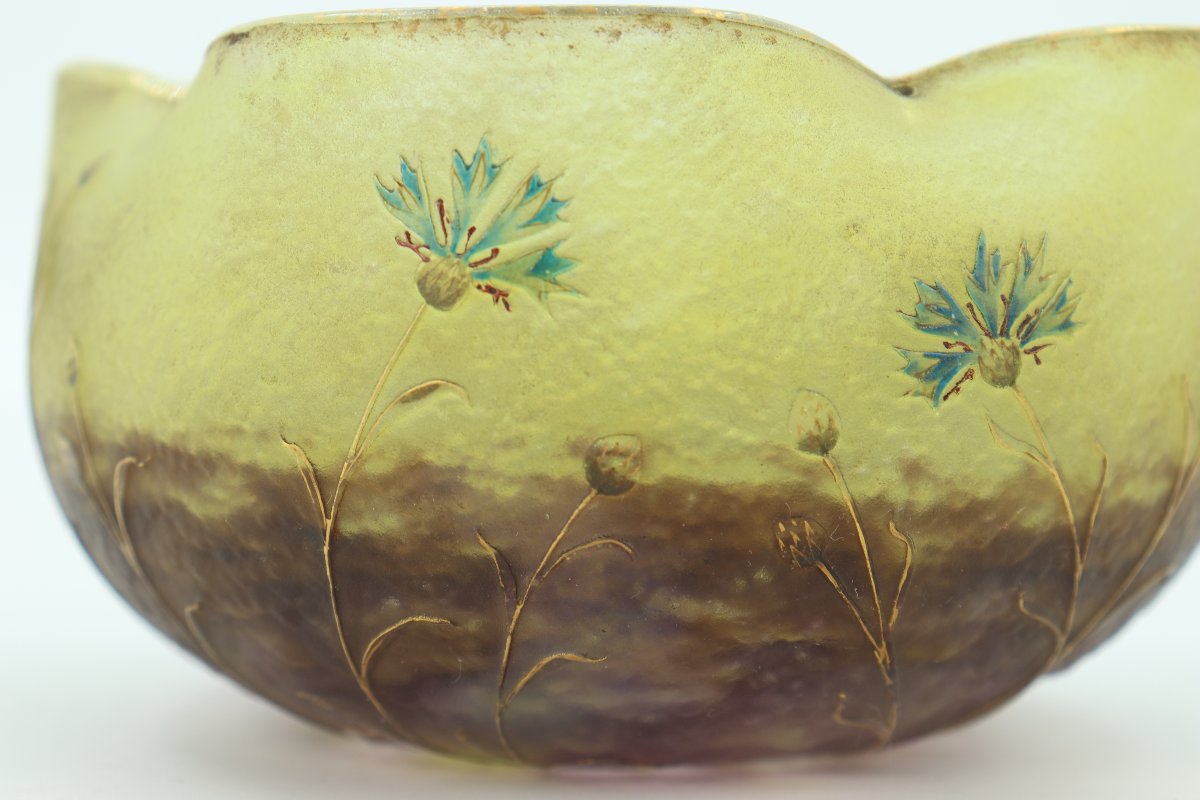 Cornflowers Daum Cup-photo-1