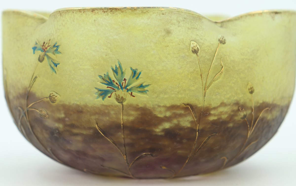 Cornflowers Daum Cup-photo-2