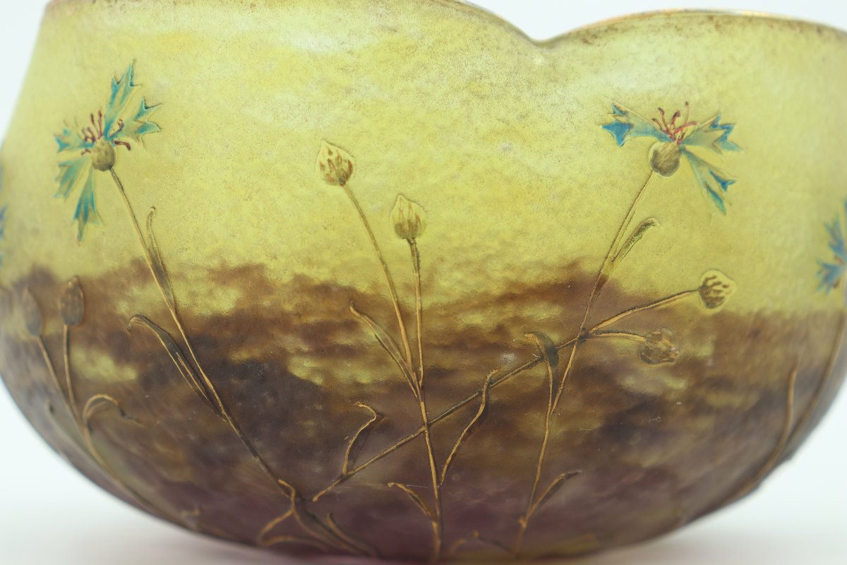 Cornflowers Daum Cup-photo-3
