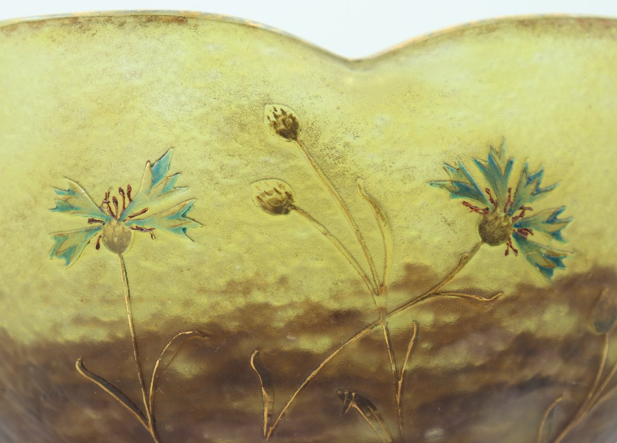 Cornflowers Daum Cup-photo-7
