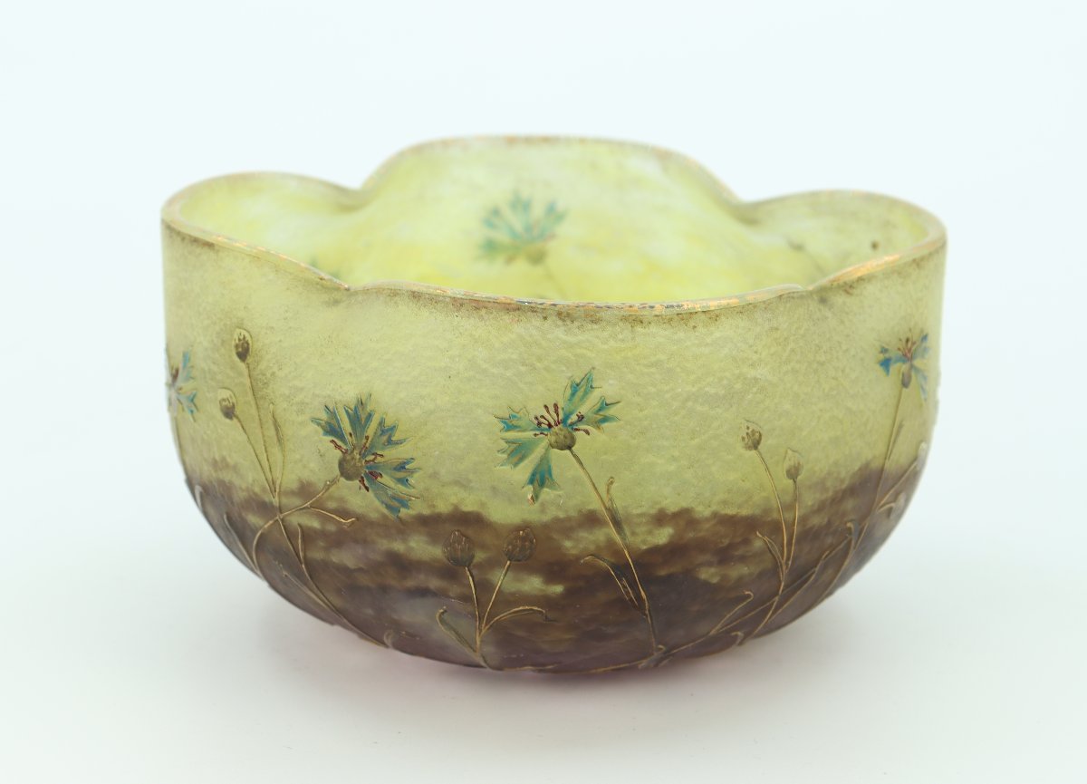 Cornflowers Daum Cup