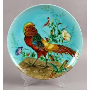 Golden Pheasant Dish By Théodore Deck