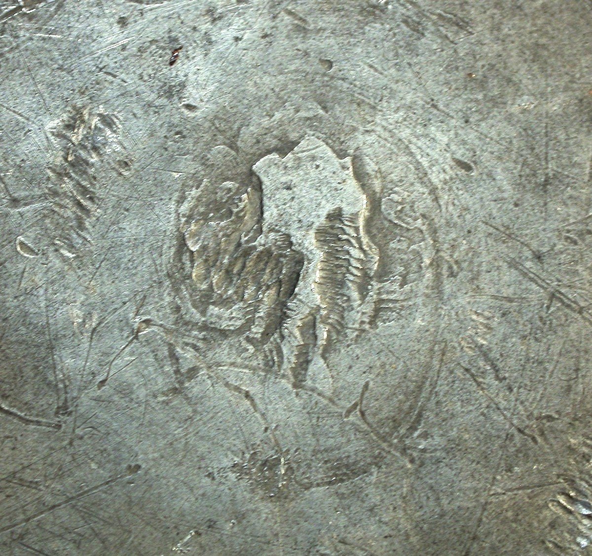 Pewter Large Armory Dish (family Gherardini Et Manincor) , 17th Century-photo-2