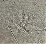1799656-alb-6a64bd6a0a92d.jpg