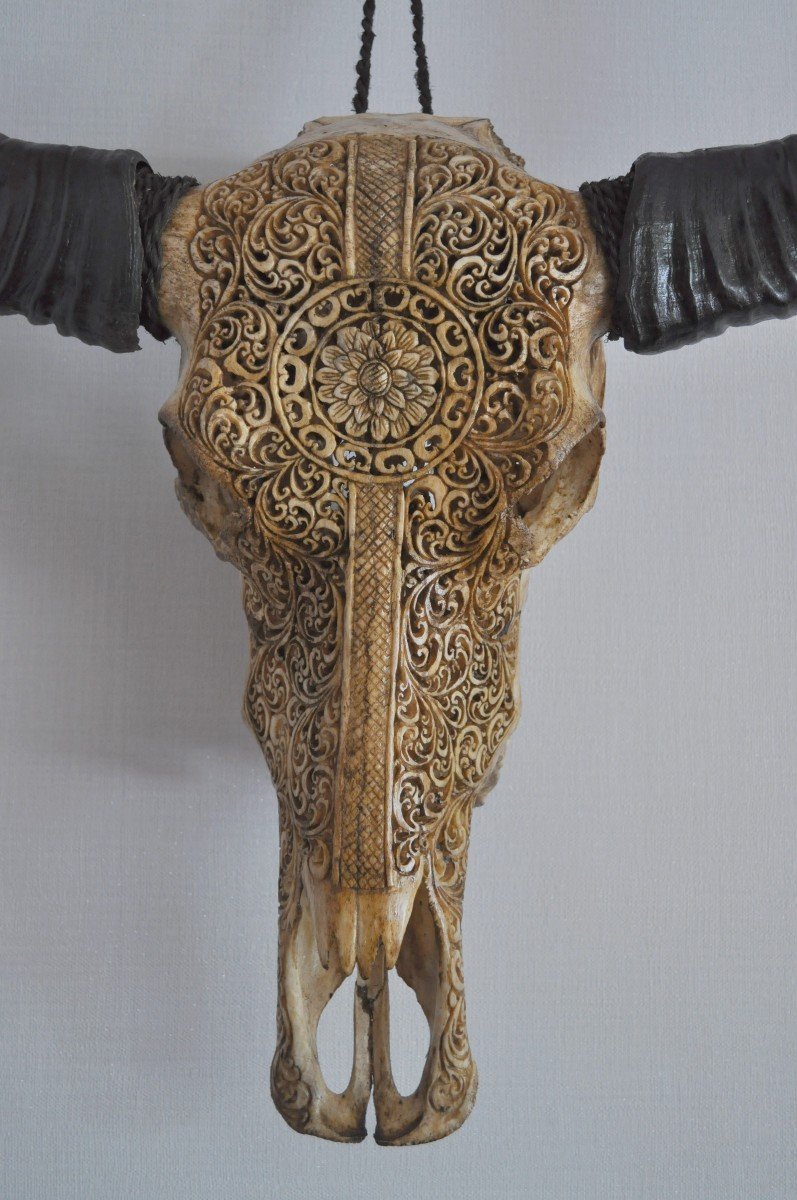 Sculpture - Water Buffalo Skull - Carved-photo-2